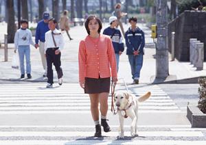 海外渡航前に狂犬病の予防接種ができるクリニック